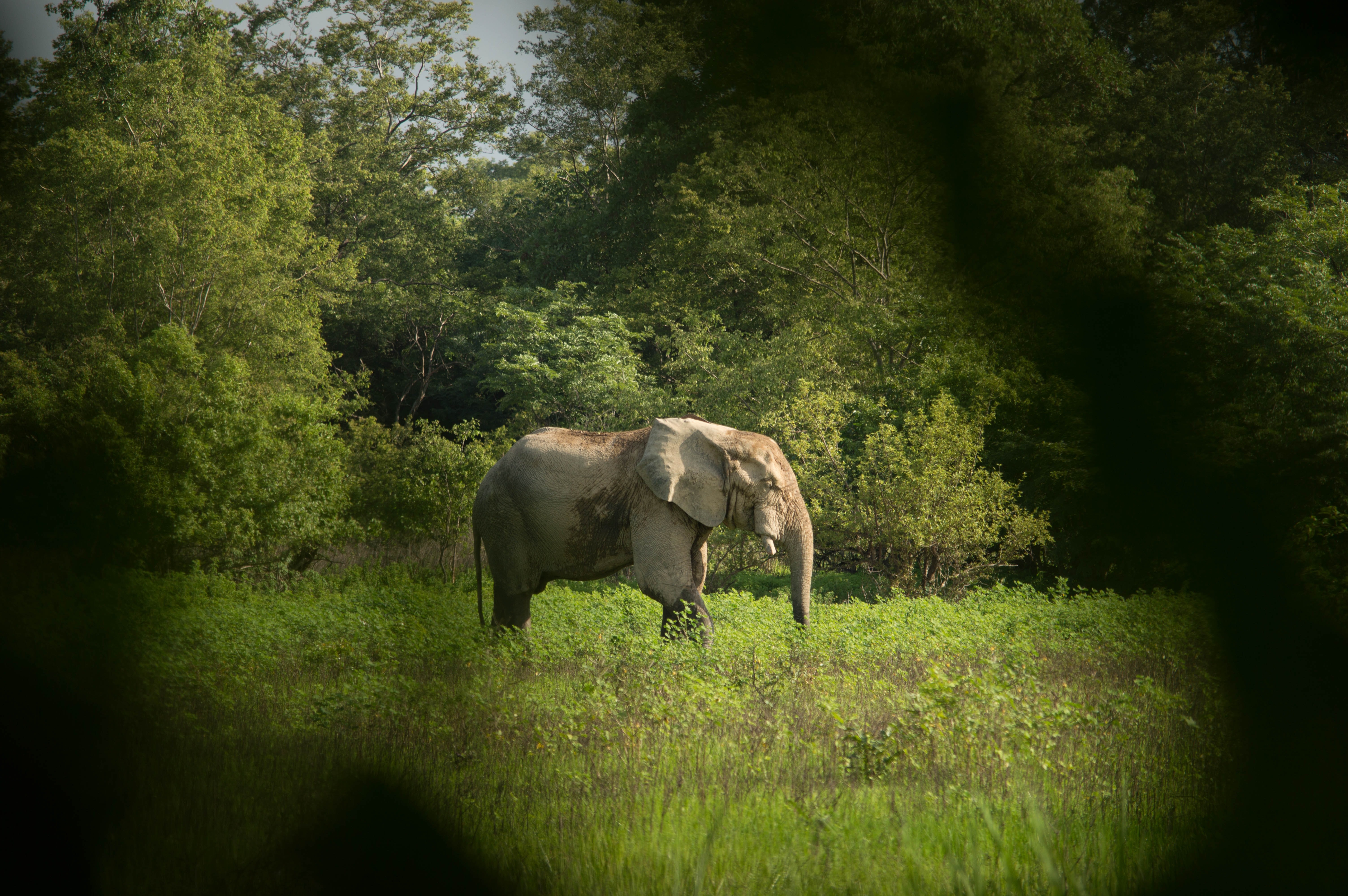 10 days Tanzania safari Tours